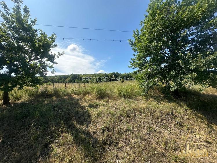 Teren intravilan de 576 mp de vanzare pe drumul DC59 , Haieu - Bihor - 4