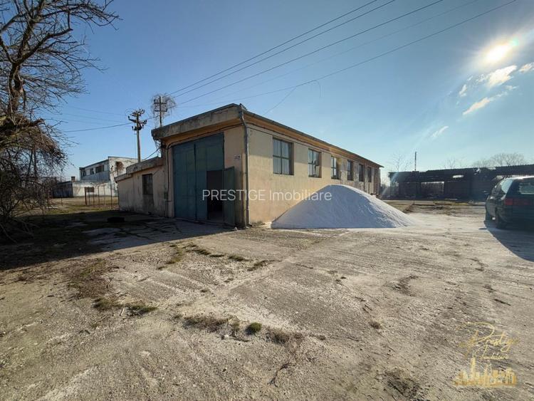 Hale industriale cu teren 6600 mp de vanzare in Com. Cefa - 29