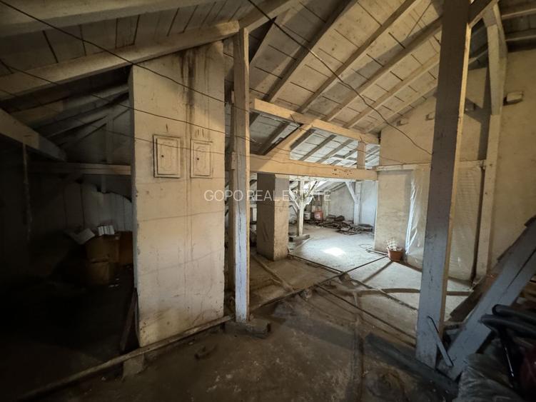 Vila Primaverii 480 mp desfasurati teren 250 mp utili garaj - 24