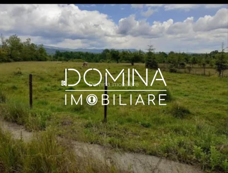 Vanzare teren 5000 mp, in comuna Crasna - sat Aninisul din Deal - 4