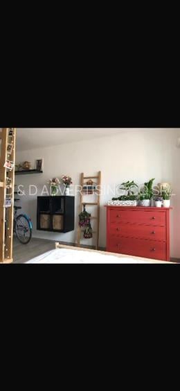 TEI / GHICA TEI - Garsoniera DECOMANDATA - PET FRIENDLY - 3