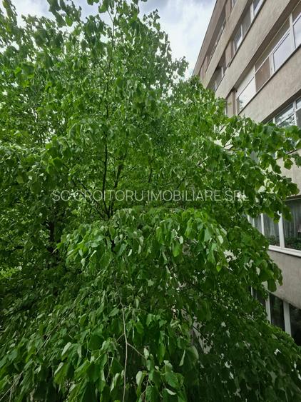 Giulesti - Apartament 2 camere decomandat –mobilat si utilat ! - 16
