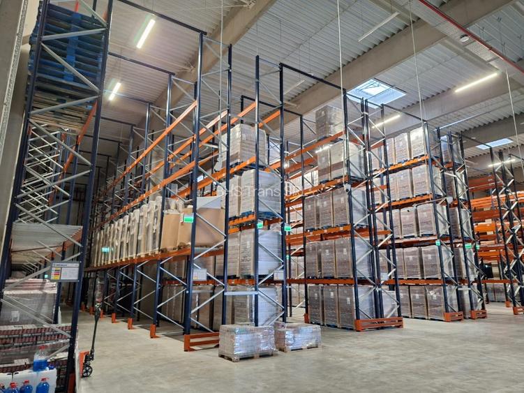 Depozit Centru Logistic de inchiriat Giarmata Timis 5000 M2 cu sau fara rafturi - 2