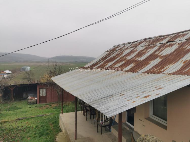 De vanzare casa in Argetoaia cu teren 7.000 mp - 2