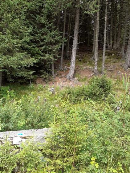 Teren Moroieni-Padina - 6