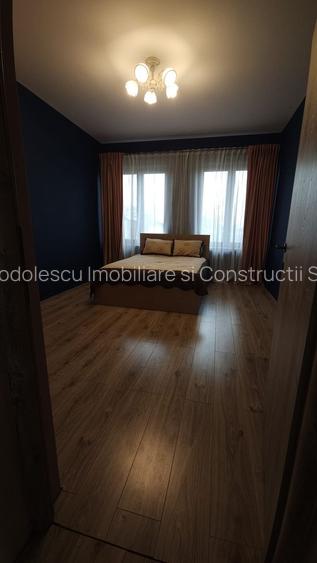 Vila individuala la 30 km de Timișoara - 23