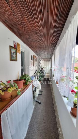 Casa individuala, teren generos, 800mp, zona Mehala - 10