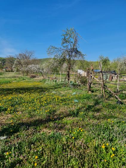 Teren si constructie comuna Magureni - 5