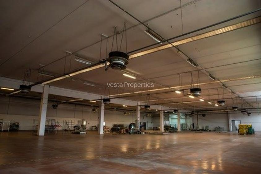 HALA ALBASTELELOR DE VANZARE/INCHIRIAT - 11