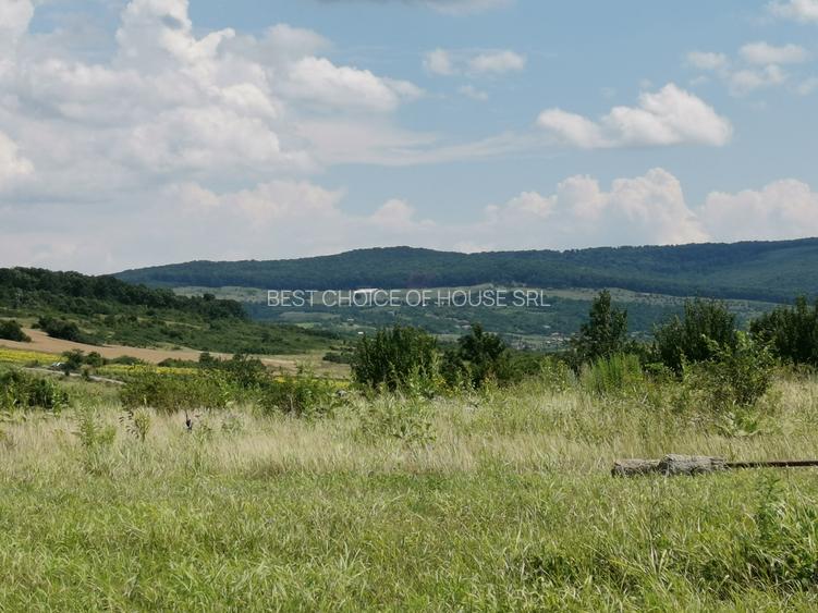 BUCIUM , 6 KM DIN IASI , teren perfect plan , 99.999 % acces pe asfalt - 13