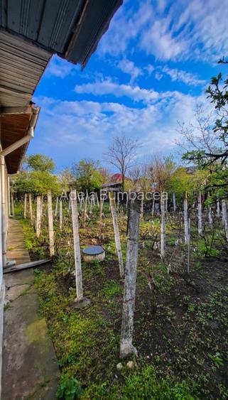 Casa cu teren 1400mp - 7