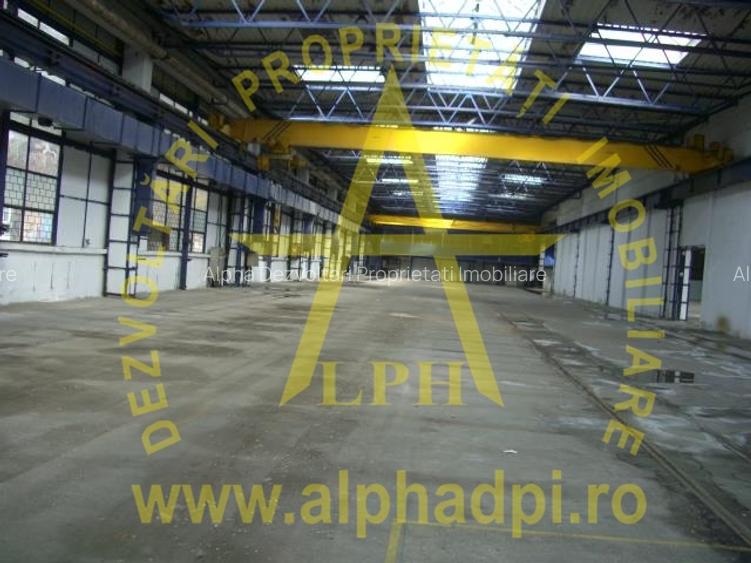 HALĂ sector 3 Republica - 6