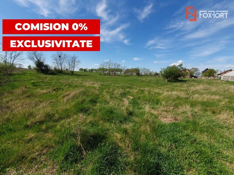 Comision 0% Teren intravilan 3000 mp in Padureni Jebel