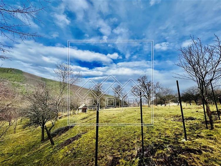 Teren extravilan de 799 mp - zona pitoreasca - Rasinari