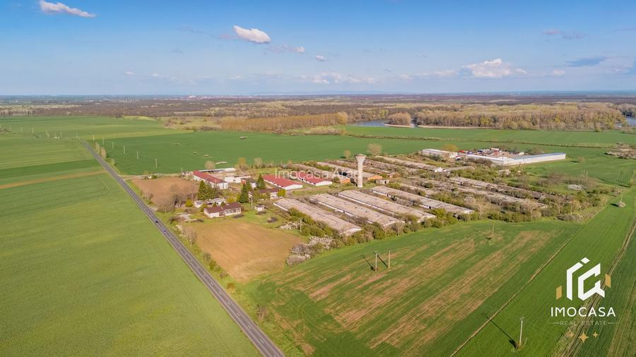 De vanzare Complex Zootehnic Suine Jud. Arad SU 15.30ha, Ferma, Grajd - 9