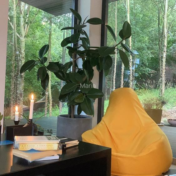 Când visele devin realitate! A ta acum!  - 10