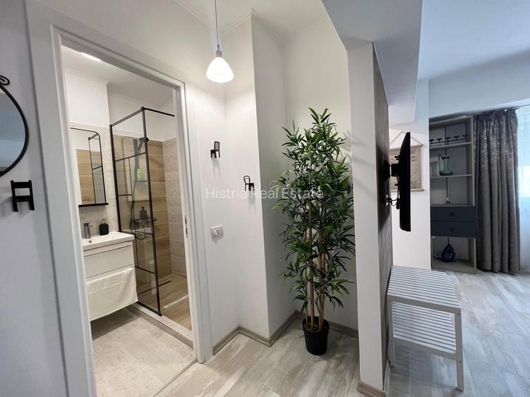 CASA DE CULTURA STUDIO RENOVAT 400 EURO TERMEN LUNG - 7