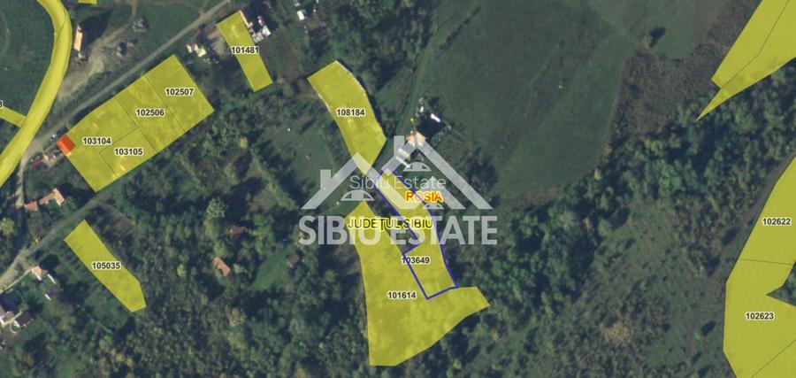 Teren constructii casa/cabana 2000 mp Valea Hrtibaciului Nucet - 4