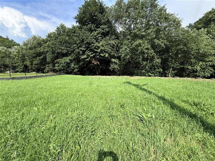 Comisan0%Teren intravilan Somesu Rece Lunca - 3