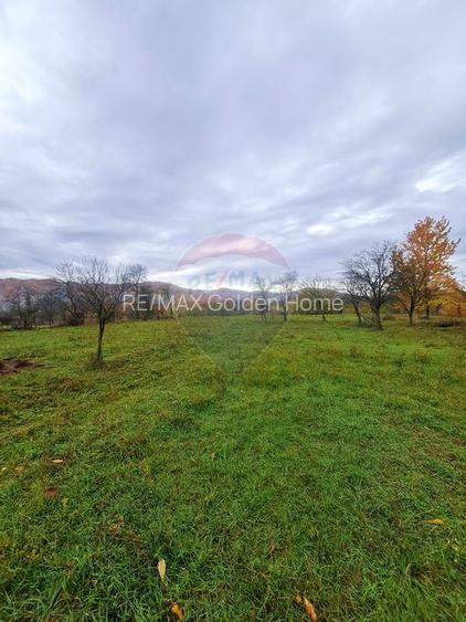 Teren intravilan  7370 mp in comuna Mera - 4