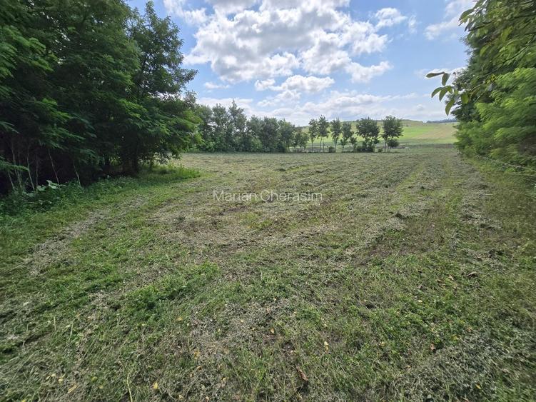 Vând teren intravilan 4.725 mp – comuna Roma, jud. Botoșani - 6