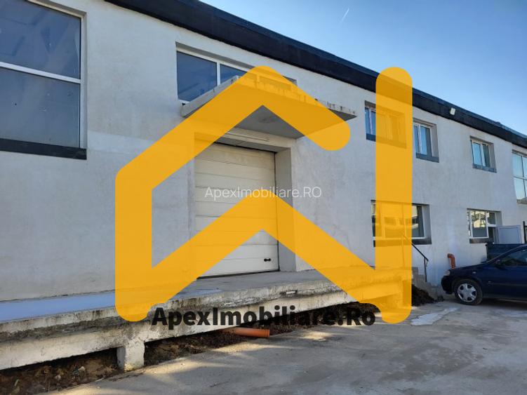Hala Industriala Xenia – 1800 mp, Acces TIR, Parcare 50 Auto - 12