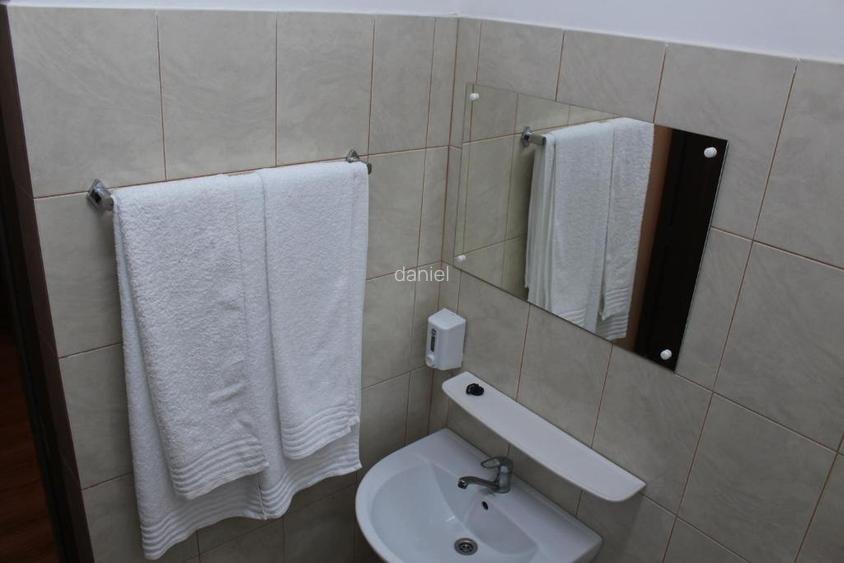 Pensiune 8 camere Vama Oancea,DN-26 si 14 hect teren compact irigabil - 11