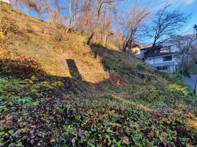 ZONA DEOSEBITA CU MULTA VERDEATA - 9