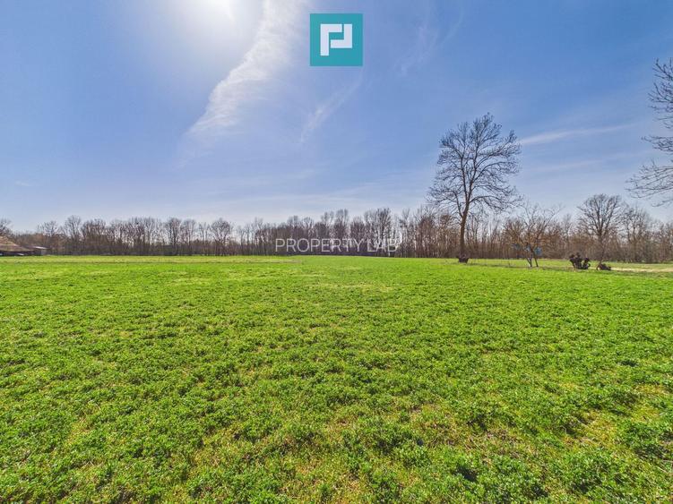 Casă cu teren de 6000 mp în Duboz, Timiș - 13