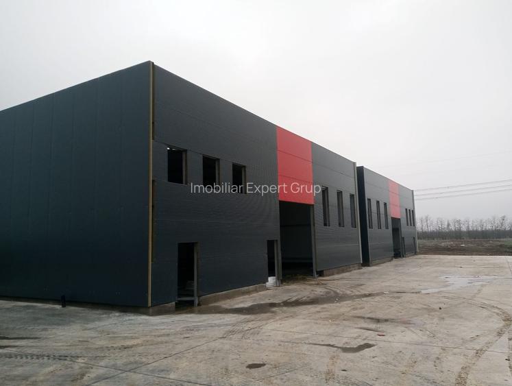 Hale noi PRET BOMBA ( 2 bucati ) 538 mp buc. Frumusani- Autostrada AO - 5