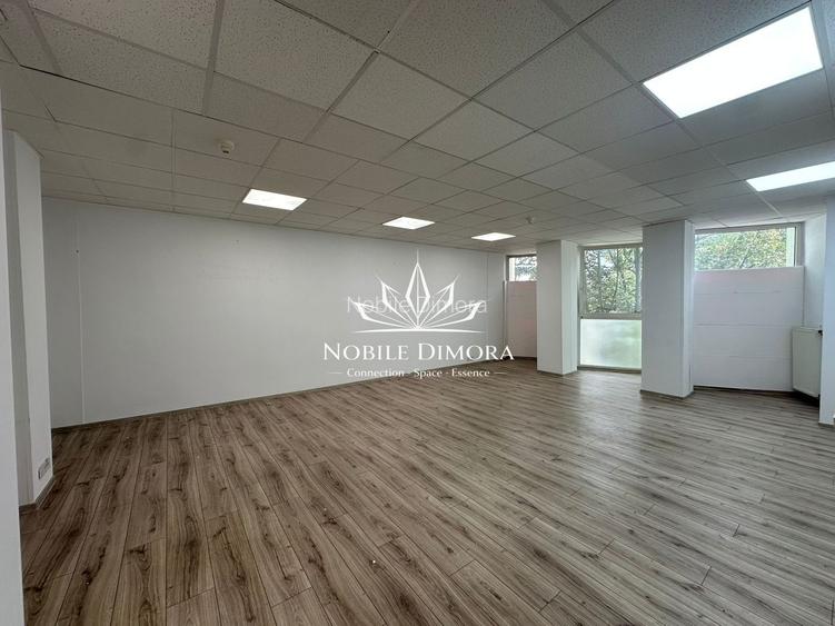 SAD de 20-60mp - Spatii de birouri - Comercial - Central - Piata 700 / Unirii - 6