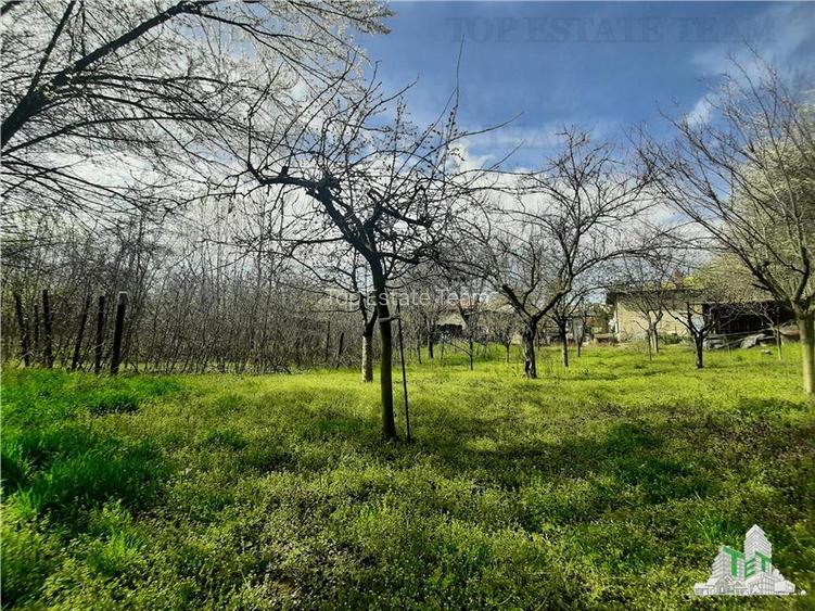 Casa la curte cu livada/teren 1274 mp in Bragadiru - 8