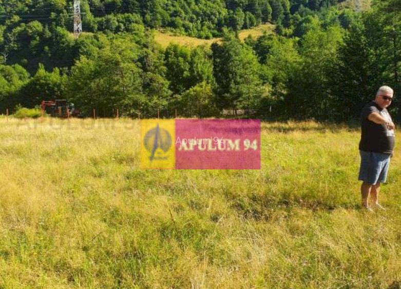 Teren Județul Vâlcea - Brezoi, Valea lui Stan - 39