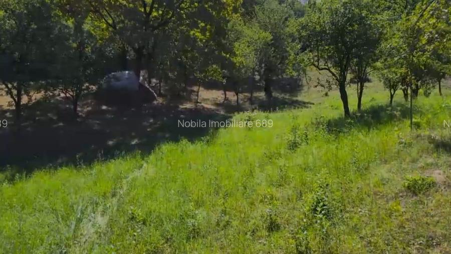 Teren intravilan + extravilan 10.537 mp – casa, livada sau ferma de familie - 3