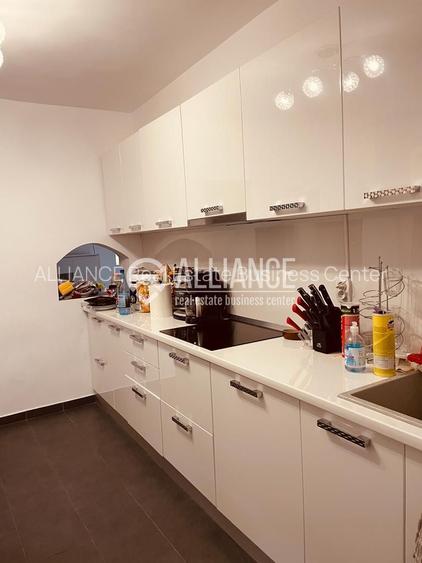 Vila deosebita Kamsas-Baba Novac (COD 08) - 9