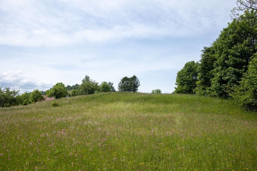 Teren intravilan - 1.050 mp în Bran cu utilitati – priveliște Bucegi - 6