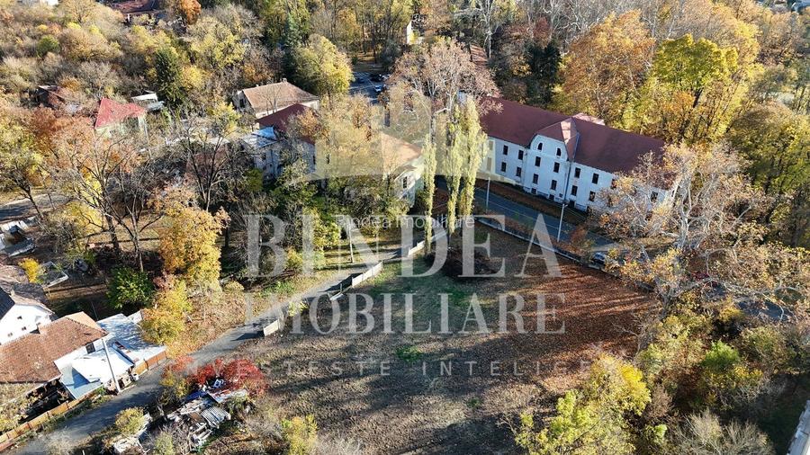 Teren intravilan CENTRAL Buzias, 2583mp - 2