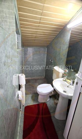 Inchiriere Spatiu comercial 130 mp Craiovei-Doja cu parcare - 7
