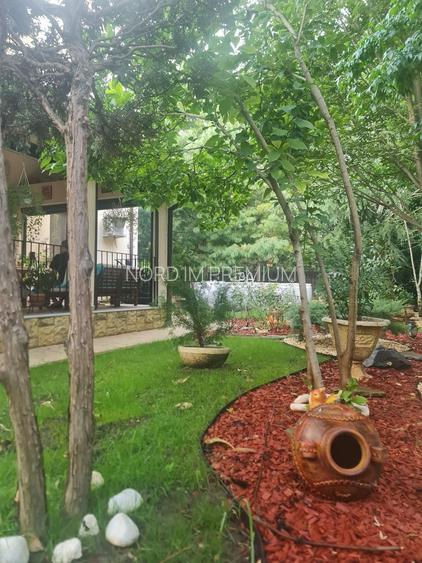 Invhiriere Vila Superba Pipera - 32