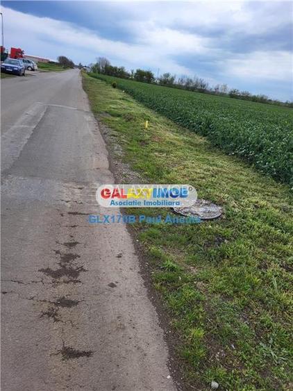 Teren Autostrada A3 Moara Vlasiei 26000 mp  Industrial Depozitare - 2