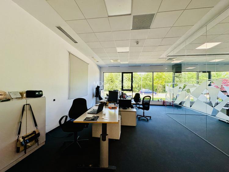 Spațiu de Birouri Modern – 220 mp Open Space | Parcul Tehnologic Tetarom I - 4