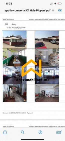 Hale Industriale de Vânzare Baicoi – 1100 mp + 800 mp, teren 5500 mp - 5