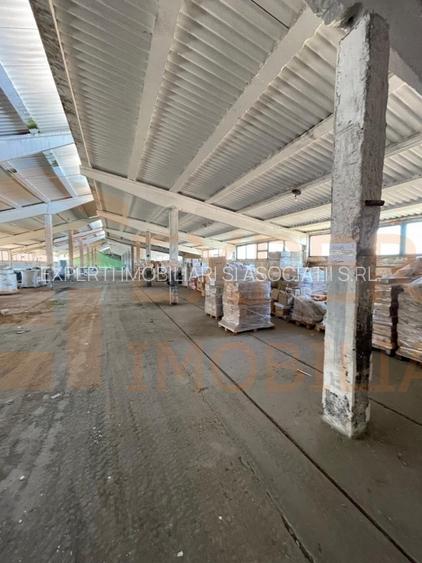 Hala situata in Ovidiu - 9