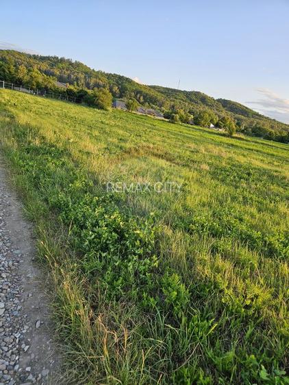 Teren 1,495mp Dobreni / Strada Parau Almas - 29