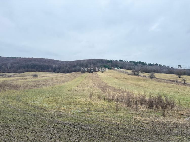 Teren extravilan 1500 mp de vânzare în Teliu – zonă liniștită - 3