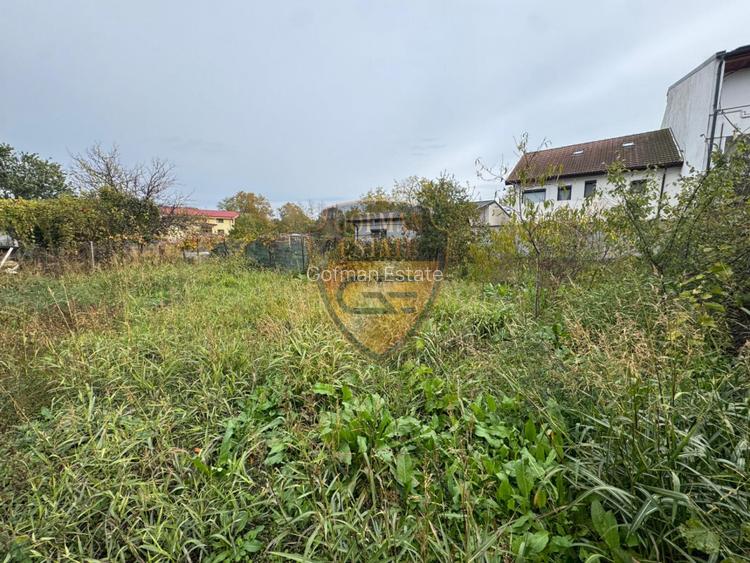 Casa 5 camere, PALAZU MARE,  204 mp cu teren 904 mp - 4