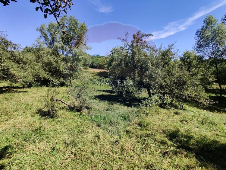 Teren intravilan in Remetea Chioarului - 5