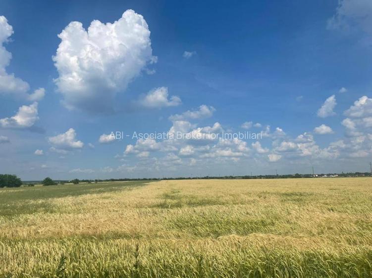 Vanzare teren intravilan Cernica_Tânganu, lot 954mp - 13