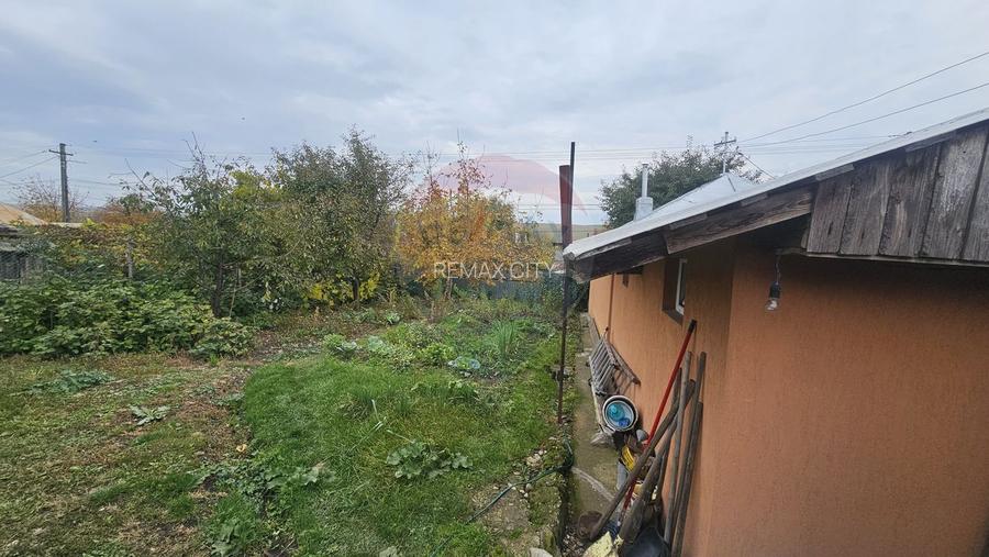 Casuta de la tara - 28