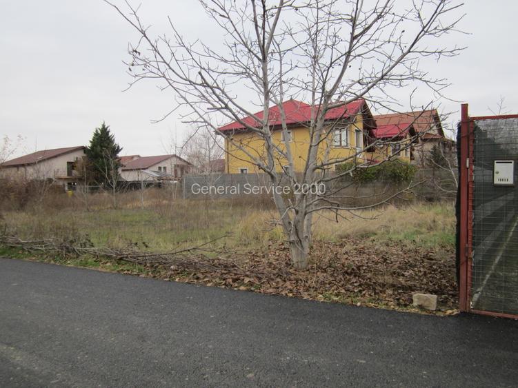 Drumul Targului-Stelelor - 7